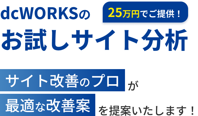 25万円でご提供！ お試しサイト分析 サイト改善のプロが最適な改善案を提案いたします！